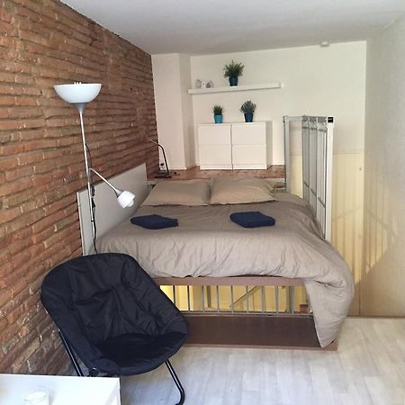 Le Petit Moulin, Duplex Hypercentre Toulouse Apartment Екстериор снимка