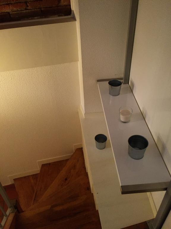 Le Petit Moulin, Duplex Hypercentre Toulouse Apartment Екстериор снимка