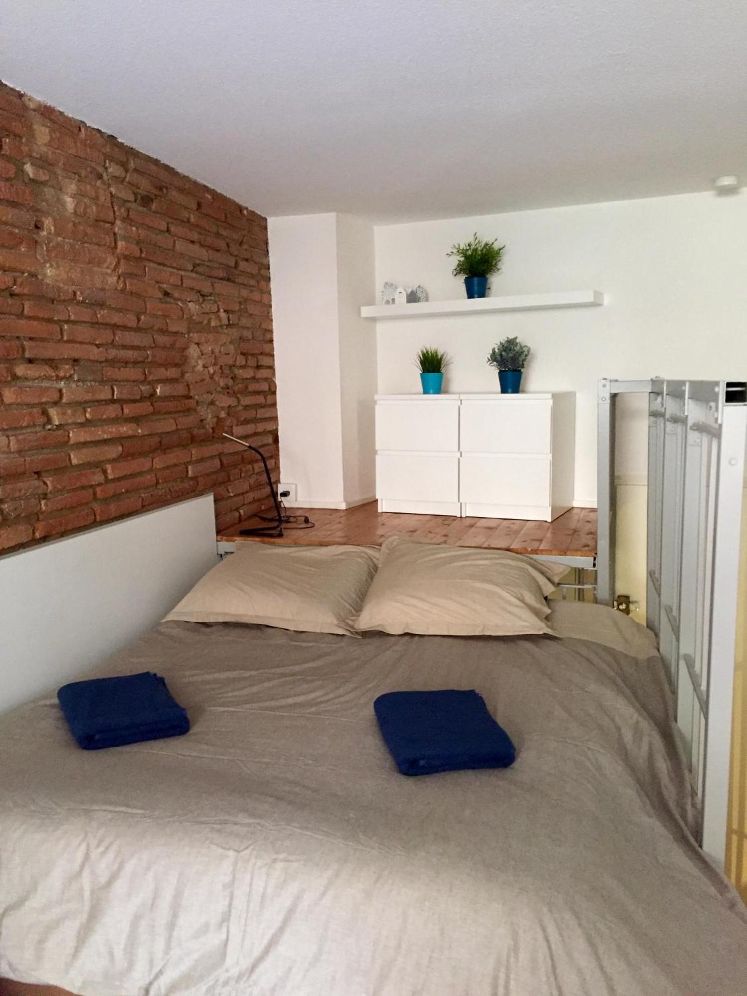 Le Petit Moulin, Duplex Hypercentre Toulouse Apartment Екстериор снимка